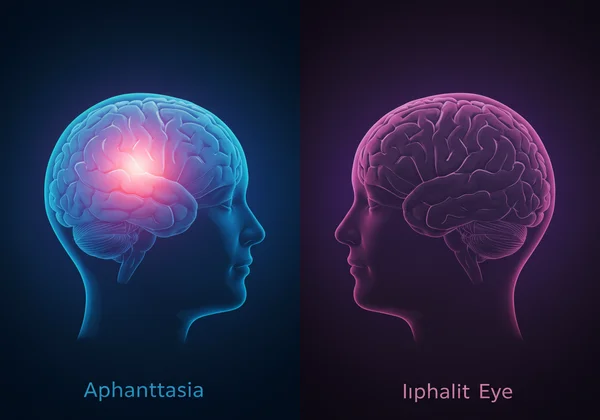 Conceptual image of a mind with and without visualization
