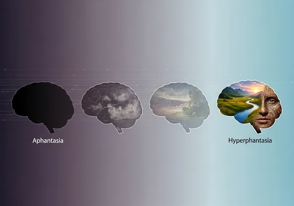 Spectrum from aphantasia (darkness) to hyperphantasia (vivid image)